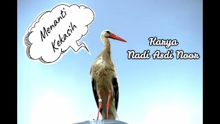 MENANTI KEKASIH - Titha Rosmawati