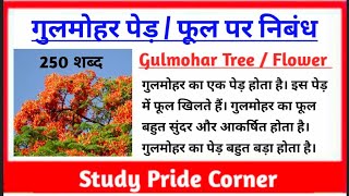 Essay on Gulmohar | Essay on Gulmohar in Hindi | गुलमोहर पर हिन्दी निबंध | गुलमोहर पेड़ /गुलमोहर फूल