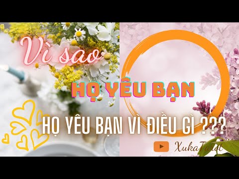 Video: Tại Sao Họ Yêu Một Người