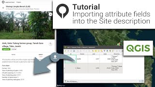 Tutorial: Importing fields from the attribute table into the Site description | explorer.land