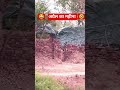 #viral #shorts #अप्रैल #का महीना