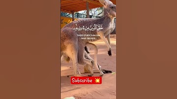 هذا خلق الله |سوره لقمان~الايه 11 القارئ #اسلام_صبحي 🎧🤍 #قرآن #قران_كريم #أكثروا_الصلاة_على_نبينا