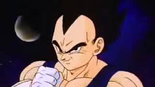 Vegeta Kills Pui Pui