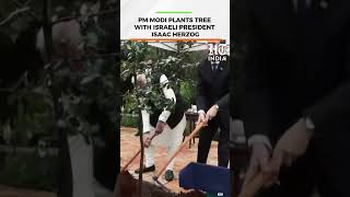 Download Lagu PM Modi Joins Israeli President Herzog for Tree Plantation Ceremony in Jerusalem | HT India MP3