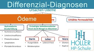 Differenzialdiagnose Odeme, Heilpraktiker-Prüfung bestehen mit den Holler-Lehrvideos