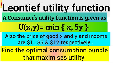 Utility maximization in case of leontief utility function