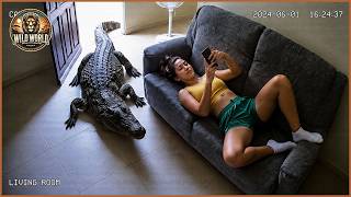 Terrifying Crocodile Encounters Caught on Camera | Animal Attacks #332