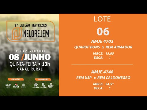 LOTE 06