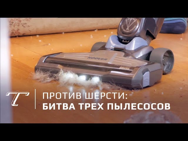 Тест пылесосов для владельцев собак и кошек