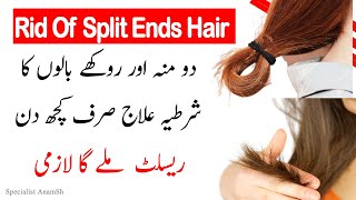 Do Munhe Balon ka Ilaj - How To Get Rid Of Split Ends Overnight - Treatment Of Hairs At Home screenshot 3