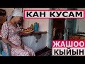 Бактыгүл: Ооруп кан кусуп калдым! Каным аз! Даары менен гана жашайм!