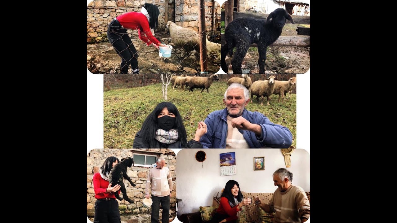 Vithkuqi me vithe të kuqe.”Jemi nevrik dhe duam të komandojmë”. Mikëpritja dhe fisnikëria vithkuqare