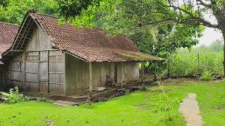 Dijamin Basah Lihat  Iningintip Kehidupan Suku Jawa Kuno Di Pelosok Desa Terpencil