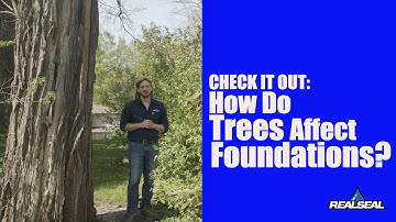 Trailer: How Do Trees Affect Foundations?