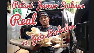 Petani Jamur Tiram Sukses || 13 Perbulan