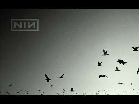 Nine Inch Nails - Quiet Collection 2018 (By "Fithos84")