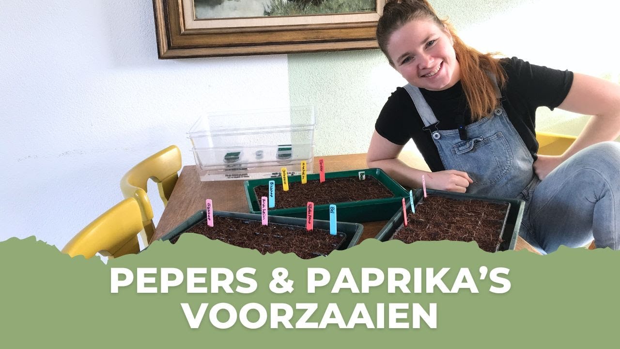 Pepers & paprika voorzaaien | Moestuinieren in een rijtjeshuis