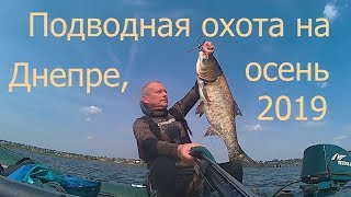 Подводная охота на Днепре, осень 2019