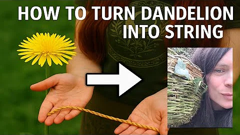 How to make string from Dandelions - Step by Step #naturecrafts  #asmr