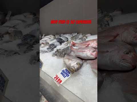 Fish 🐠 so expensive