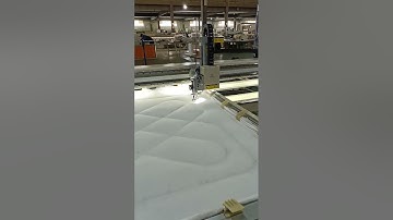 Single Needle Quilting Machine with frame type, auto lifting head #cnc #automatic #stitching