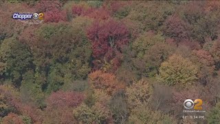 Where and when to see the best fall foliage in the Tri-State Area