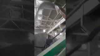 Як повинен робити зерномет.Зернонавантажувач в роботі #2птс4 #agriculture #птс  #зернометатель