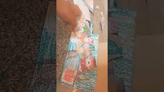 The Notekins Flamenco Guitar