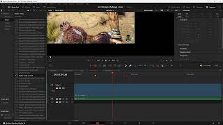Lowering Timeline Playback Resolution Shrinks my ENTIRE WINDOW -- Fixed. Davinci 19