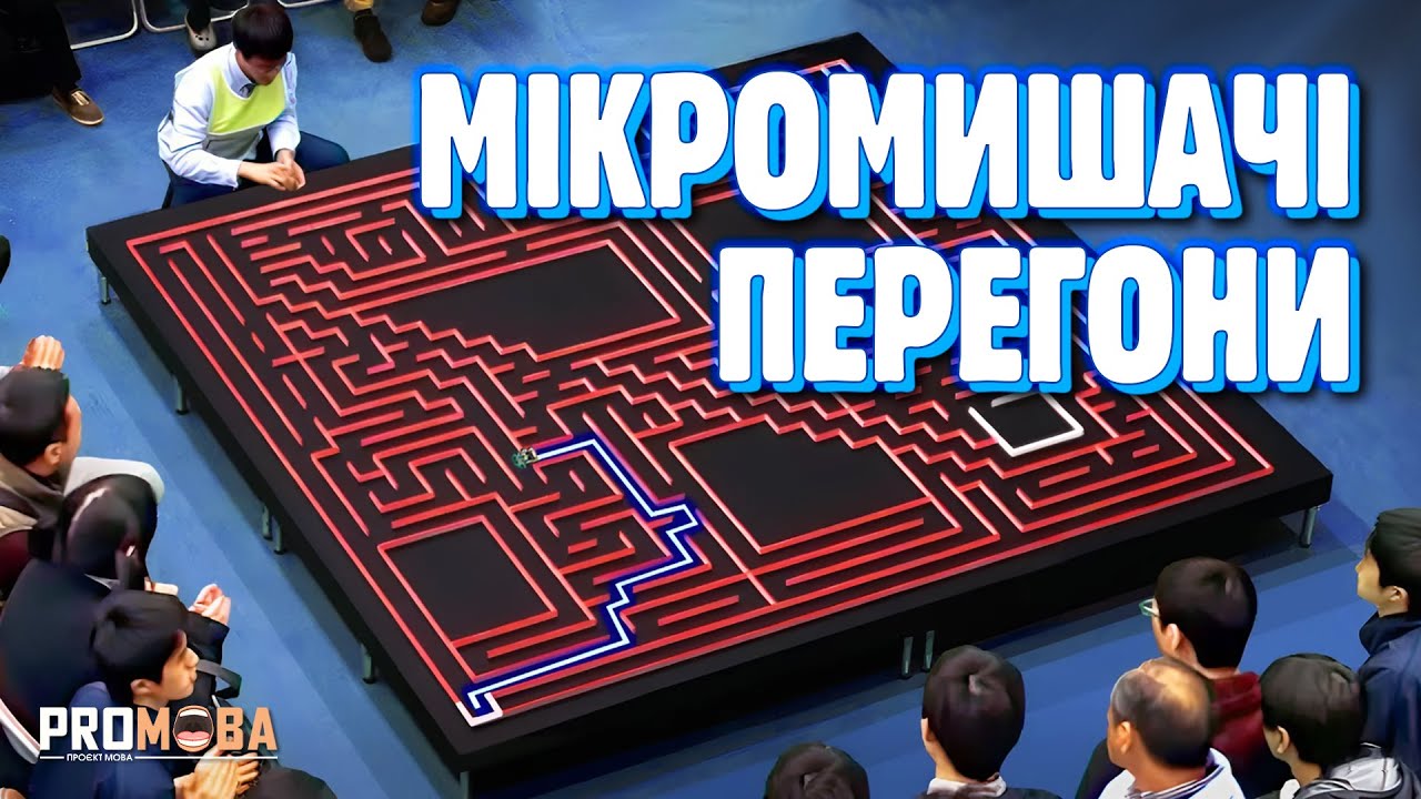 НАЙШВИДШЕ ПРОХОДЖЕННЯ ЛАБІРИНТУ 🐁 [VERITASIUM]