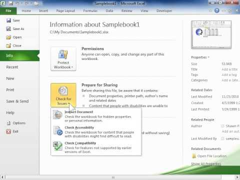 Excel 2010 Use the Accessibility Checker