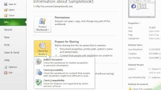 Excel 2010 Use the Accessibility Checker