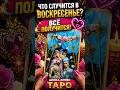 Что принесёт вам ВОСКРЕСЕНЬЕ? Что сделает вас счастливее? 🌞 Гадание на картах Таро | Алена Ариес