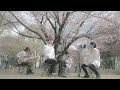 【MV】サクラ咲ケ - 嵐 / なき × ひかる (cover)