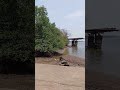 #nature