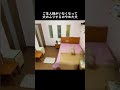 快適を求めるイッヌ🐶多分前世は人間