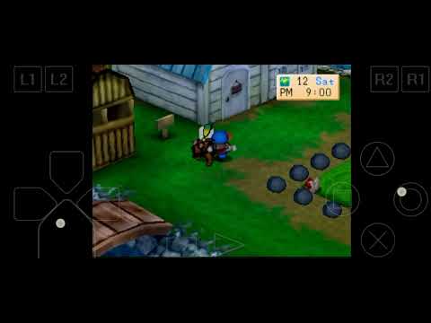 Dog Ball Harvest Moon Back Nature