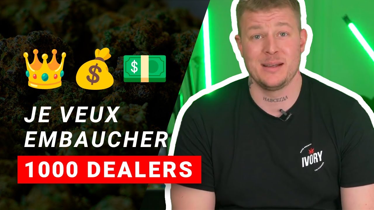 Je veux embaucher 1000 dealers l Alexandre Lacarré, cultivateur de cannabis