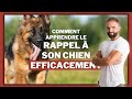 Comment apprendre le rappel a son chien efficacement 