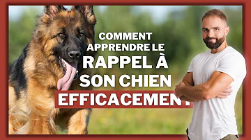 Quel ordre pour le rappel