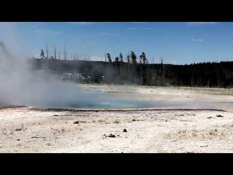 США. Celestine Pool/Гейзер, Yellowstone Park