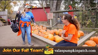 What It's Like Working at Vala's as a Medic! Profile