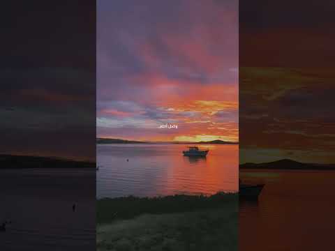 غالبا الاخرس