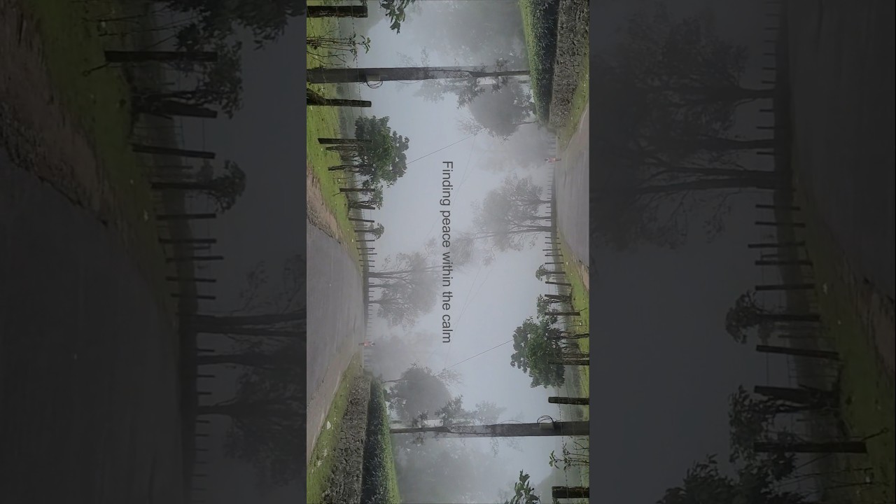 Lost in the Mist of Vagamon | Kerala's Misty Magic & a Powerful Reminder | Idukki | 