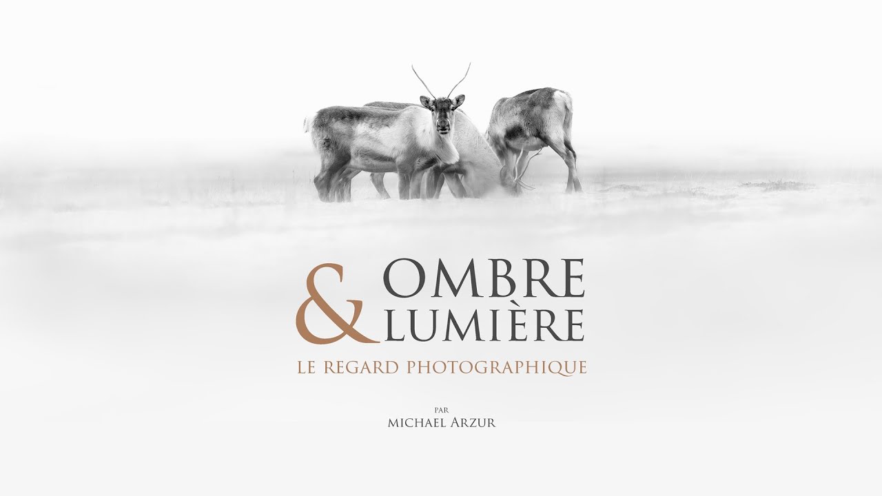 Ombre & Lumière - épisode 2 [ le regard photographique ]