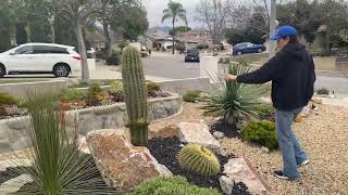 Claremont Succulent Garden Tour and a BIG ANNOUNCEMENT!