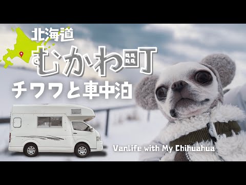 【チワワと雪国で車中泊】計画通りには行かない／むかわ町／ししゃも／海鮮アヒージョ／雪原でチワワだっこ