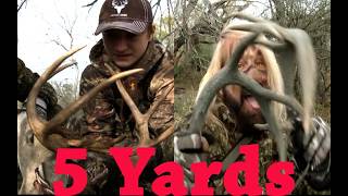 Big Buck Death in South Texas