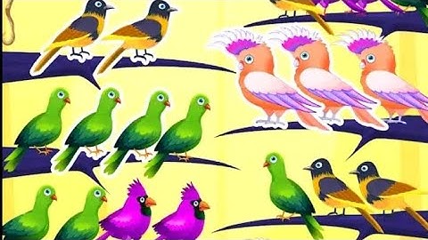 Color Bird 🐦 Sort Puzzle Game 🎮 Level 14-16 please subscribe