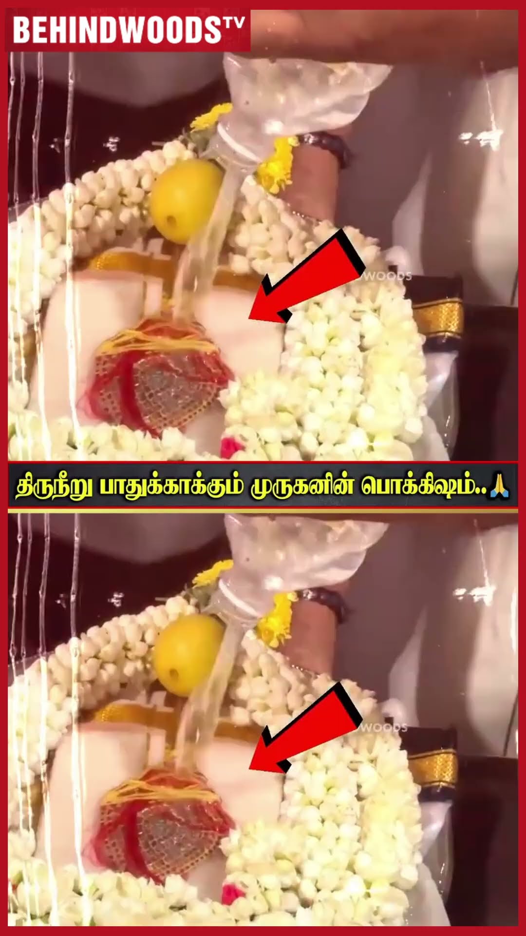 முருகனின் பொக்கிஷத்தை பாதுக்காக்கும் திருநீறு ? முருகா எல்லாம் உன் செயல்